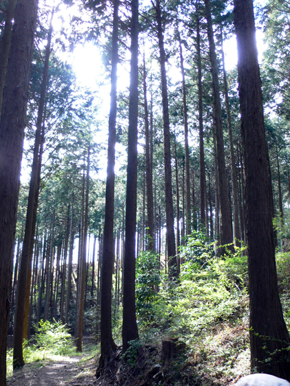 f0060424_14513132.jpg
