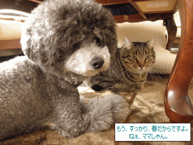 c0136736_17112377.gif