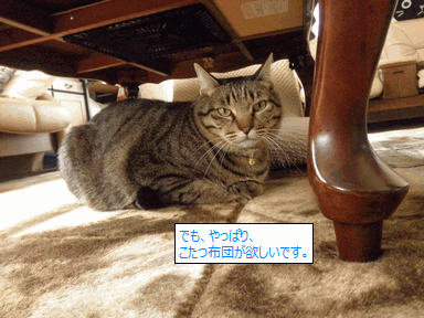 c0136736_17114279.gif