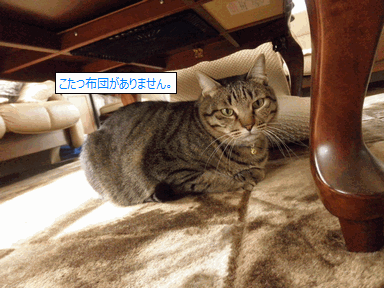 c0136736_1711720.gif
