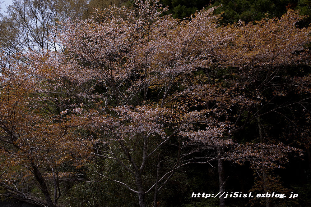 a0078341_2385143.jpg