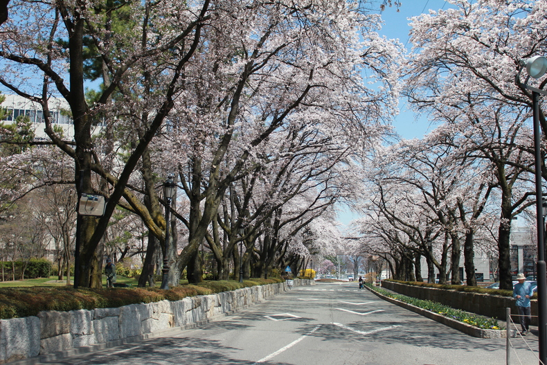 f0219441_1152341.jpg