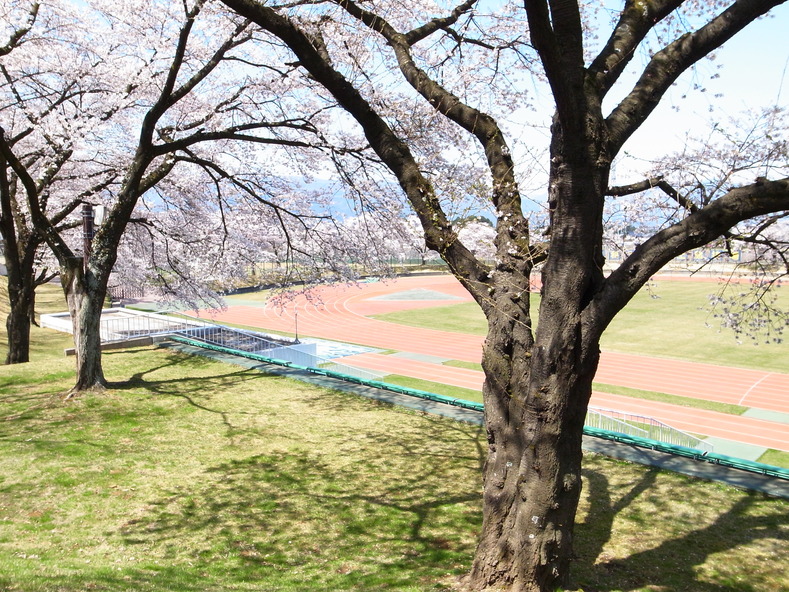 f0219441_11524090.jpg