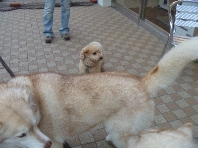 e0121548_1136954.jpg