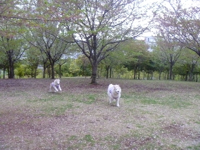 e0121548_22364051.jpg