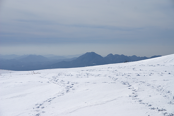 f0214649_4524254.jpg