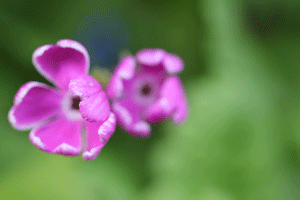 d0163550_20503587.gif