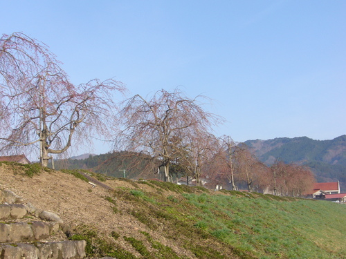 b0174451_7571234.jpg