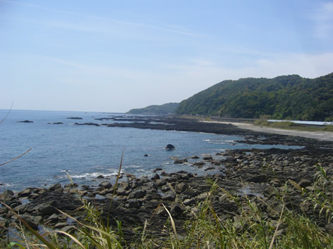 f0067354_17554140.jpg