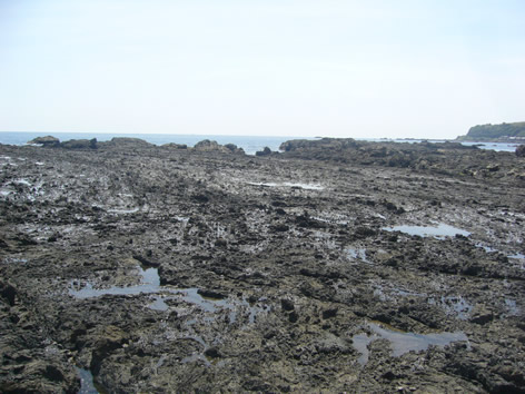 f0067354_17593453.jpg