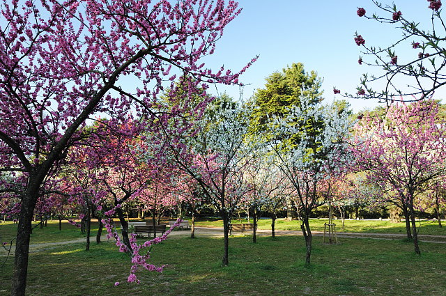 f0222161_1338166.jpg