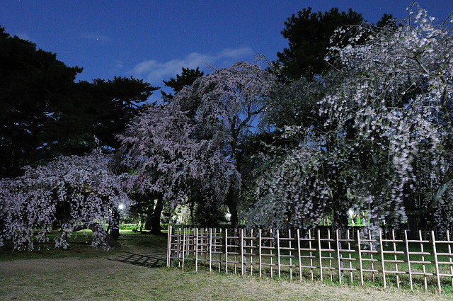 f0222161_1338610.jpg