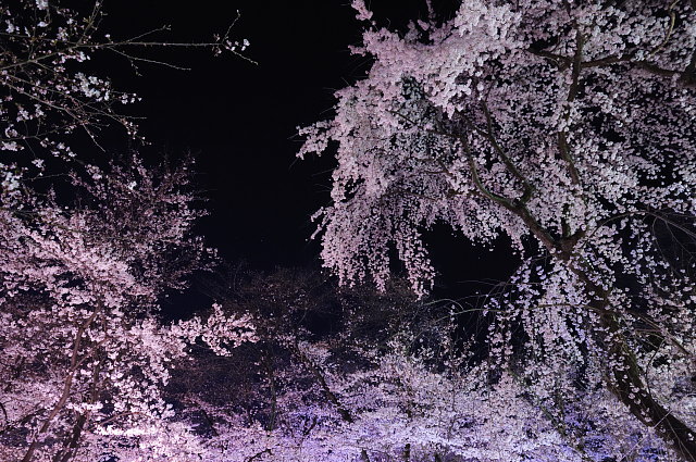 f0222161_22553523.jpg