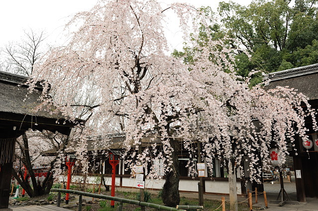 f0222161_22554092.jpg