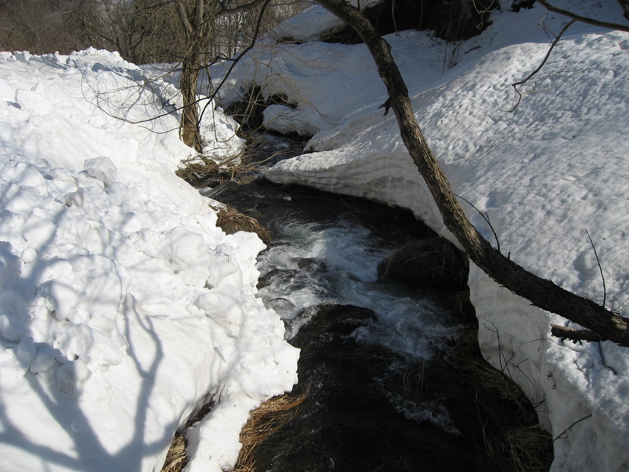 b0218664_856719.jpg