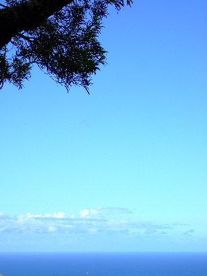 d0102664_20303145.jpg