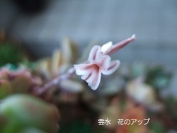 e0225164_84456.jpg