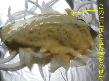 d0050871_10331821.gif