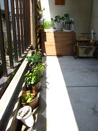 d0161578_99181.jpg