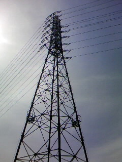f0100480_20162354.jpg