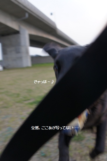 d0152182_20221652.jpg