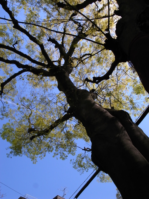 e0222883_22194223.jpg