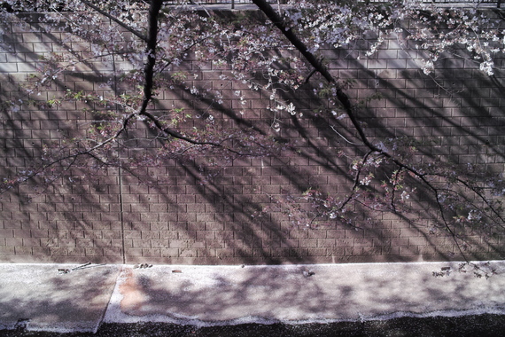 b0160184_21121028.jpg