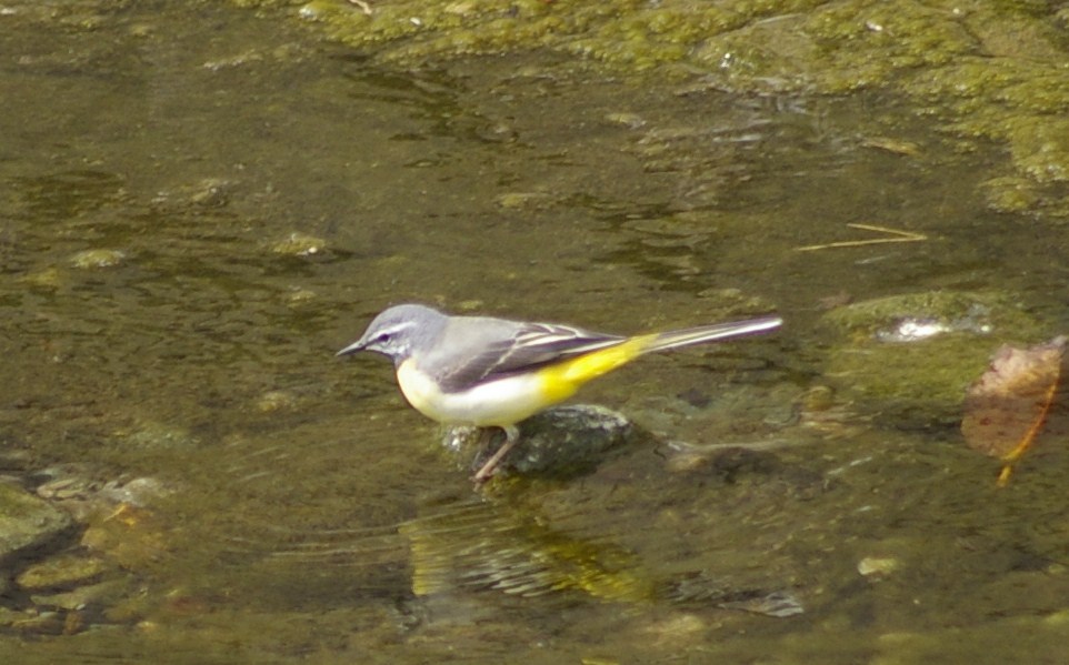 e0197884_2129960.jpg