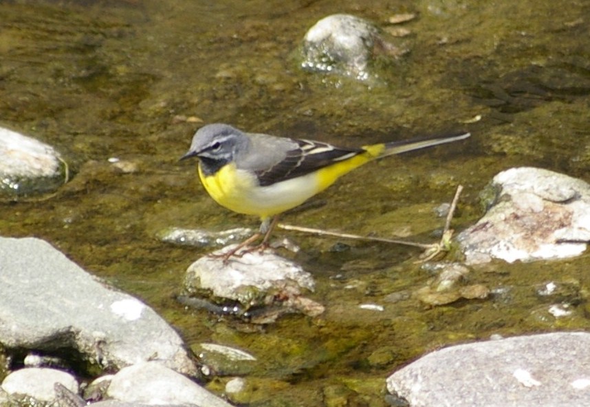 e0197884_21315664.jpg