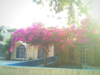 e0159287_19591100.jpg