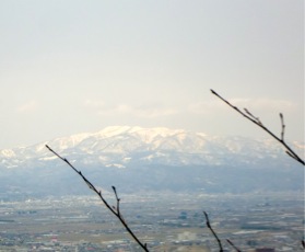 c0151898_20251762.jpg