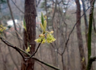c0151898_20262314.jpg