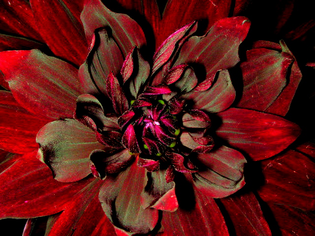 a0157704_23113159.jpg