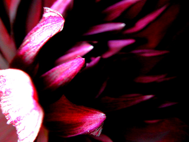a0157704_23145563.jpg
