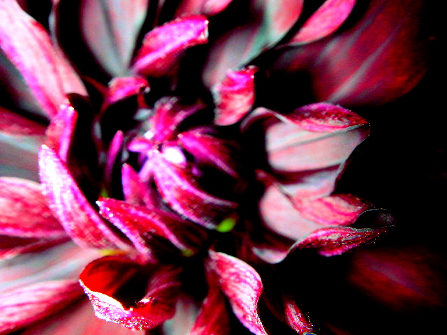 a0157704_23231775.jpg