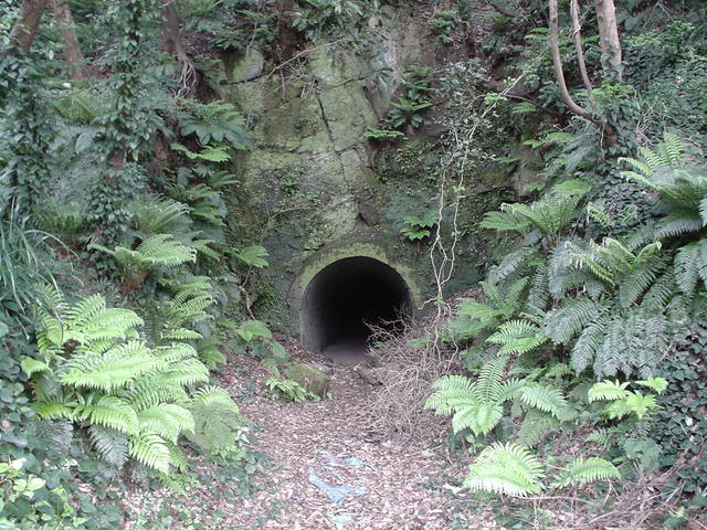 a0116205_2243352.jpg
