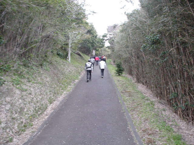 a0116205_2245639.jpg