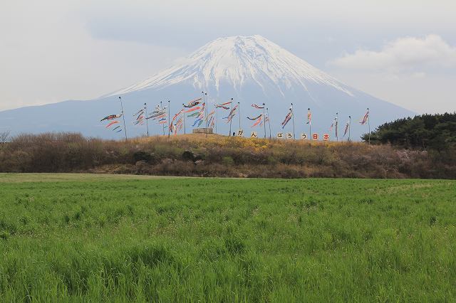 a0188405_20575534.jpg