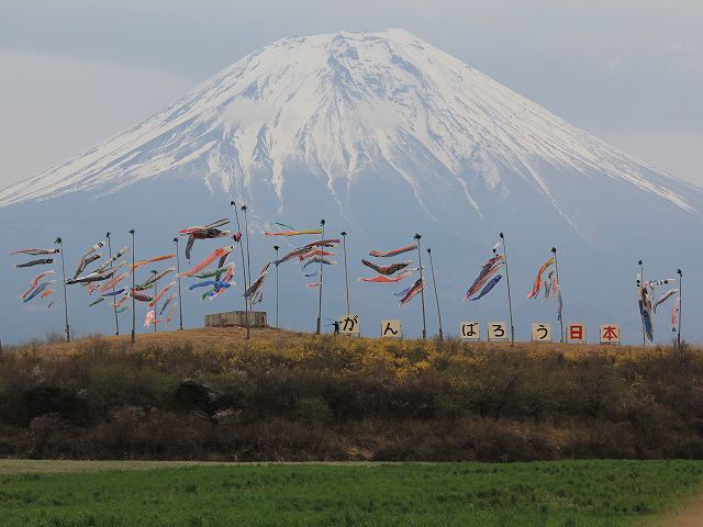 a0188405_20582476.jpg