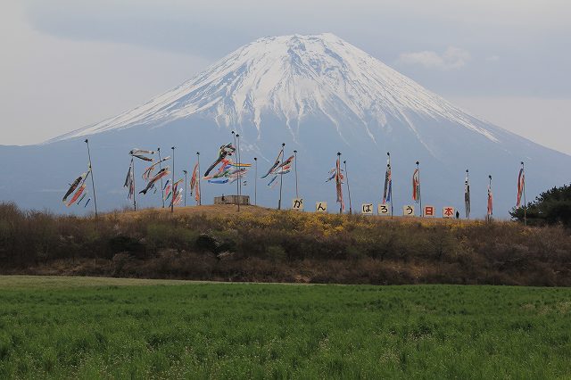 a0188405_2058483.jpg