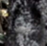 e0103408_15471334.jpg