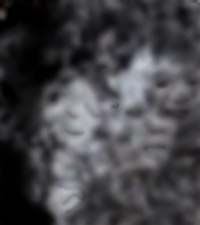 e0103408_15473041.jpg