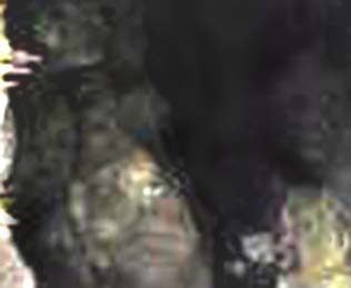 e0103408_15475735.jpg