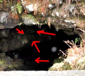 e0103408_15481139.jpg