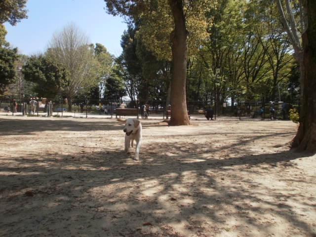 c0116610_15344250.jpg