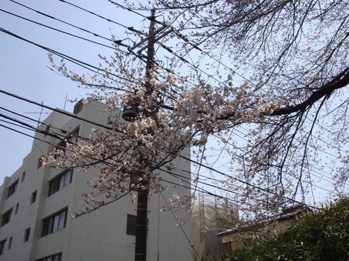 e0123712_2137472.jpg