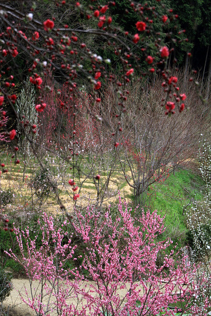 f0207313_1994680.jpg