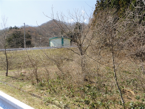 a0127015_19451419.jpg