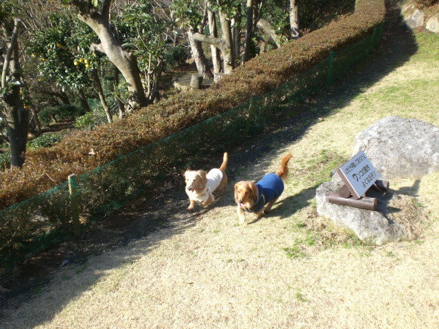 e0209716_1731278.jpg