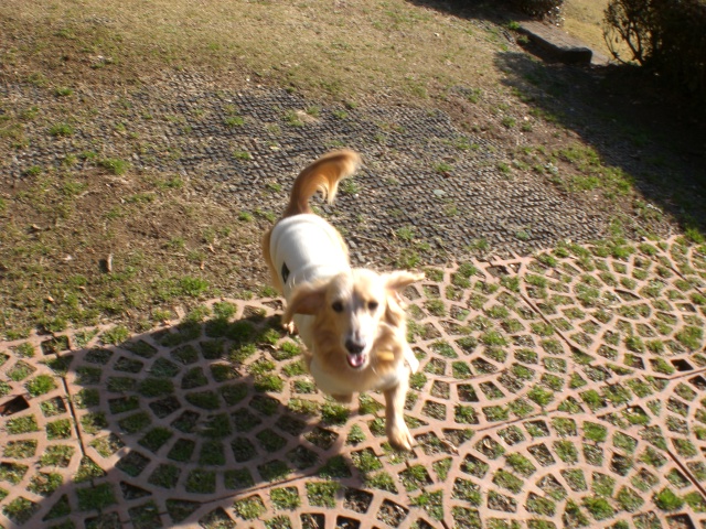 e0209716_173463.jpg